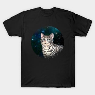 cat lover gifts T-Shirt